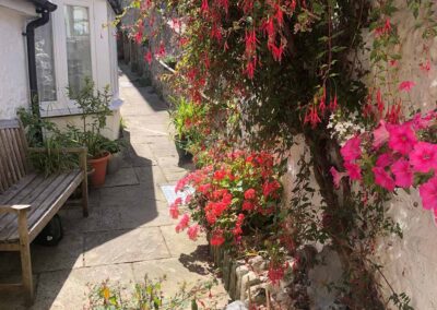 Fuchsia and Pathway to Decking
